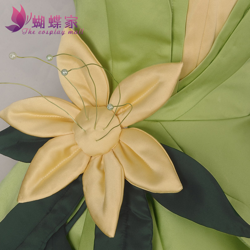 Prinses Tiana Jurk Cosplay Kos - Women Accessories Products recensie en prijs